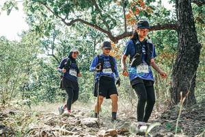 BIB: 
                            <button type="button" onclick="openModal(26104433)" class="btn btn-primary btn-sm float-right btn-popup" data-toggle="modal" data-target=".modal-high-quality">
                        <i class="fas fa-shopping-cart"></i> Add to Cart
                    </button>
                                            <button type="button" onclick="isThisMe(26104433, true)" class="btn btn-success btn-sm float-right btn-popup btn-isme hidden" data-toggle="tooltip" data-placement="bottom" title="นี่คือรูปของคุณใช่ไหม คลิกที่นี่เพื่อเอาเข้าอัลบั้ม">
                        <i class="fas fa-plus"></i> Add to album
                    </button>
                    <button type="button" onclick="isThisMe(26104433, false)" class="btn btn-warning btn-sm float-right btn-popup btn-isnotme hidden">
                        <i class="fas fa-ban"></i> Remove from album
                    </button>